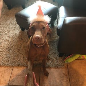 Meet your Posher, Kalyn